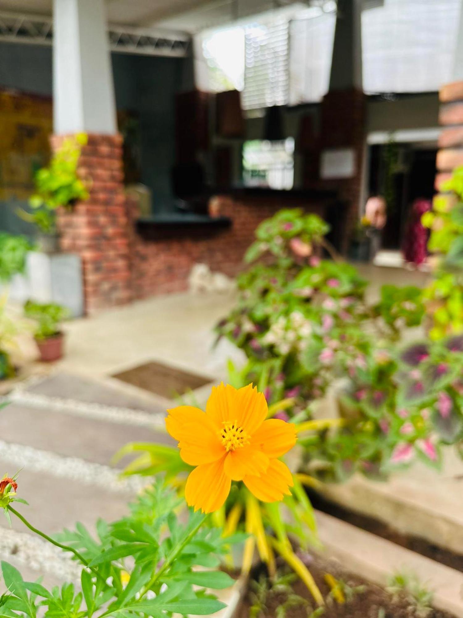 Lanka Bangla Inn Villas Restaurant & Travels Katunayaka Zewnętrze zdjęcie